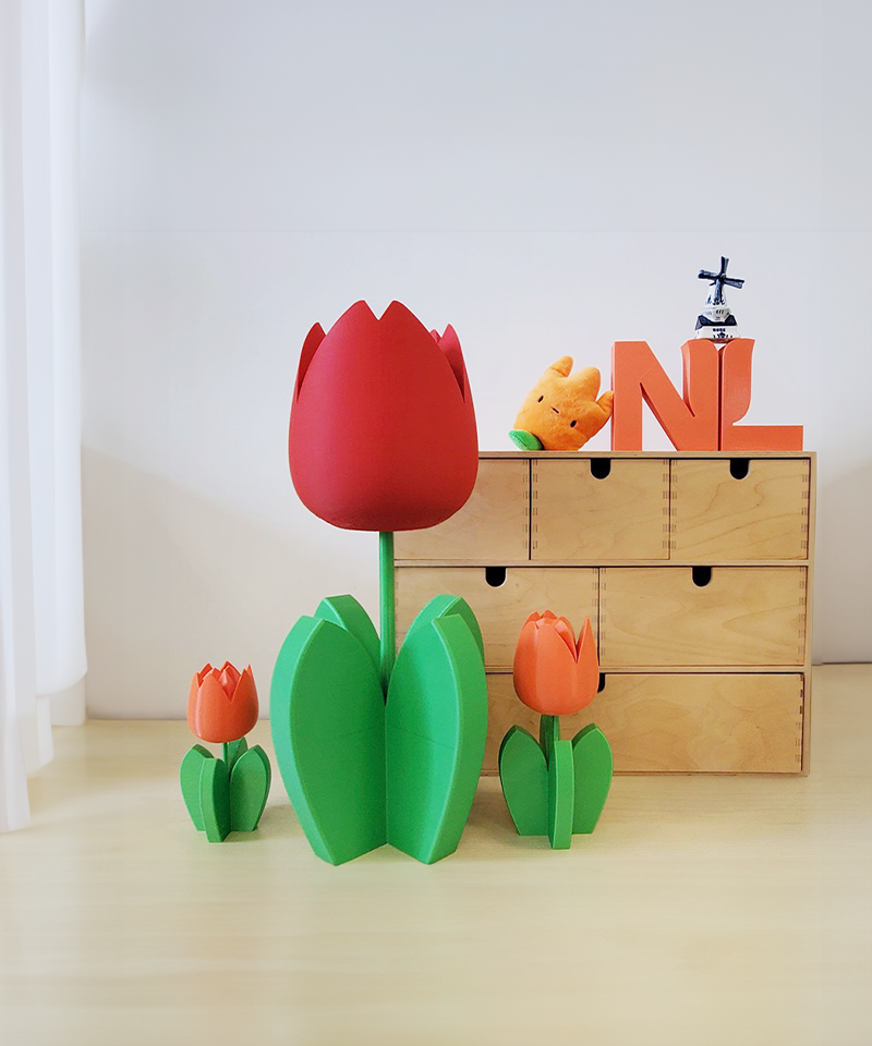 2024 Year of Netherlands Innovation and Culture